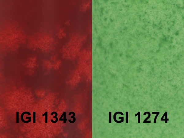 IGI 1302 Mottling Pillar Wax Product Detail @ Community Candle and Soap  Supply